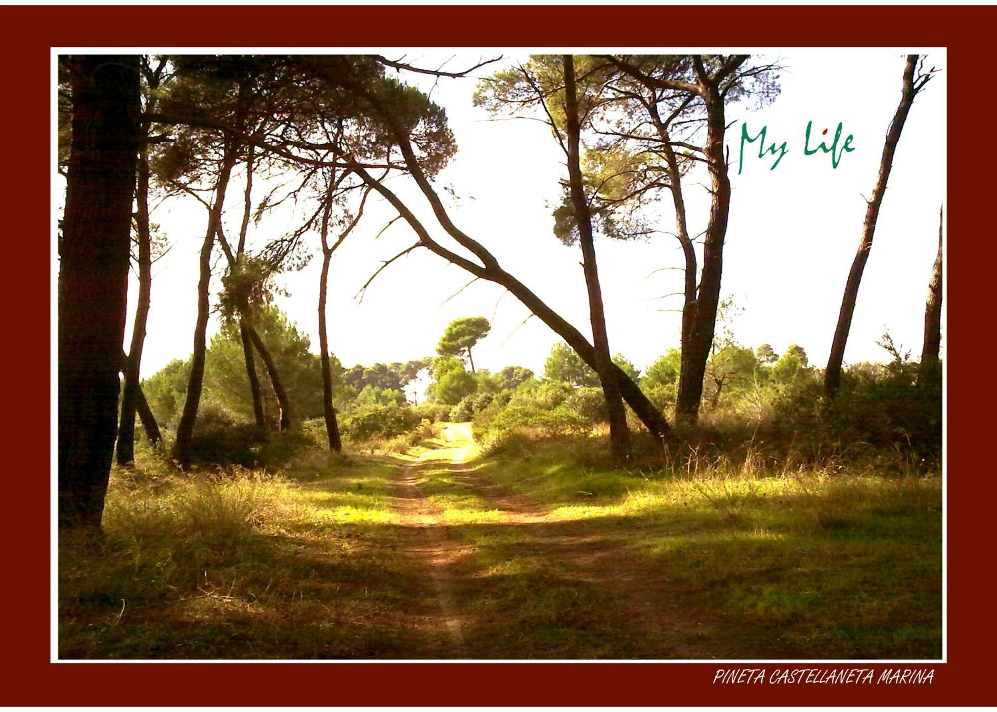 Mylife B&B Country House Castellaneta Marina Eksteriør billede